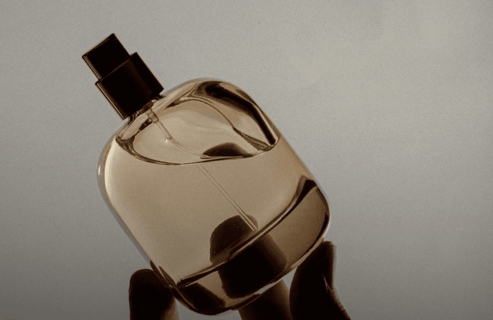 Featured image for quiz: What Perfume Suits You?