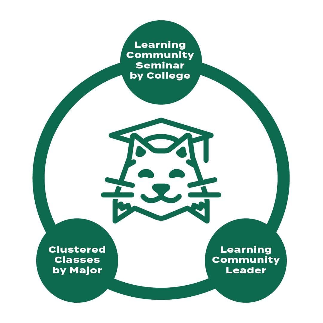 Featured image for quiz: What major should I choose?